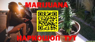 трава Краснодар