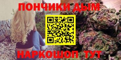 шишки Краснознаменск