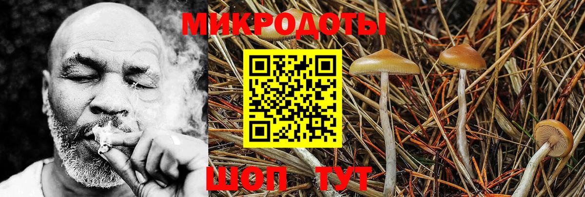 Галлюциногенные грибы Psilocybe  Вход с VPN  Кириши 