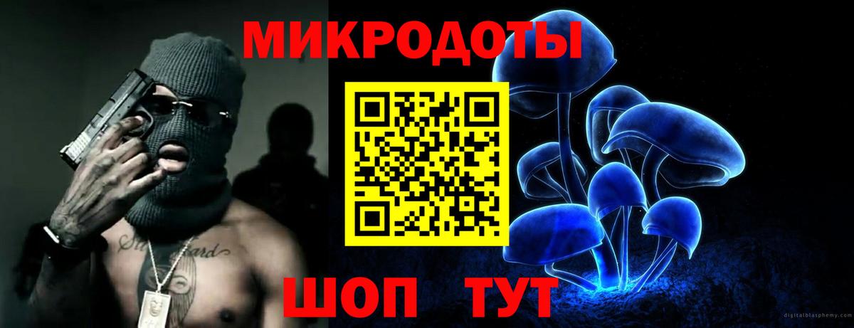 Галлюциногенные грибы Psilocybine cubensis Кириши