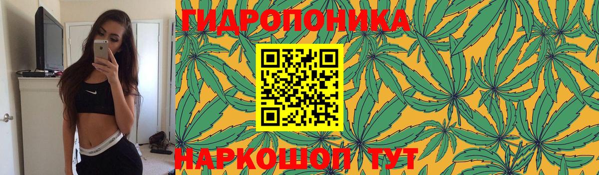 Бошки марихуана Bruce Banner Кириши