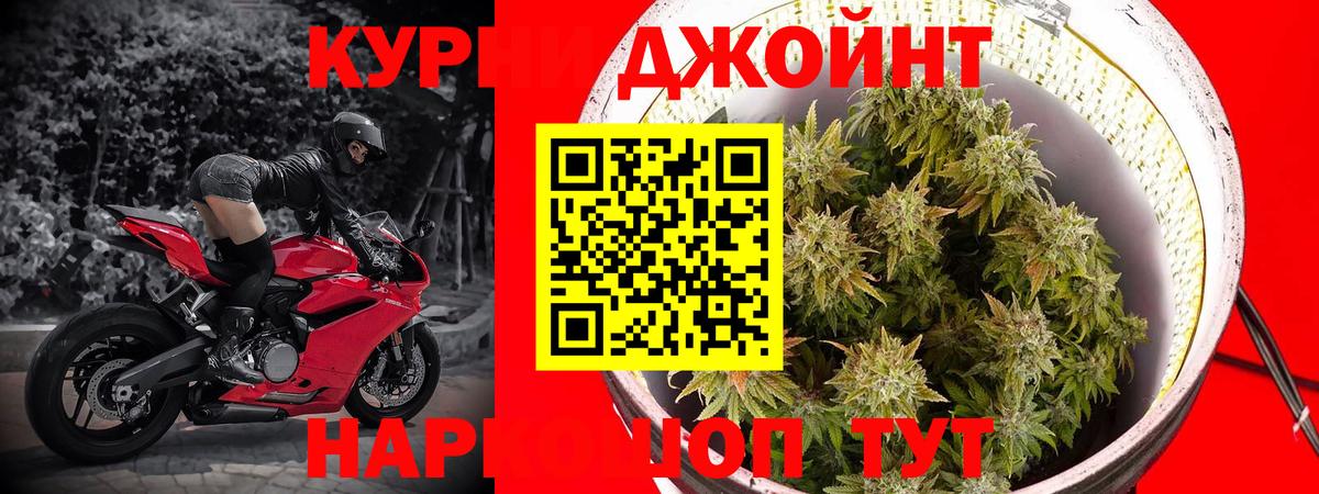 Конопля ГИДРОПОН  Вход с VPN  Бошки марихуана марихуана  Кириши 